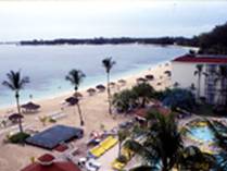 �u���[�Y�E�o�n�}�E�r�[�`